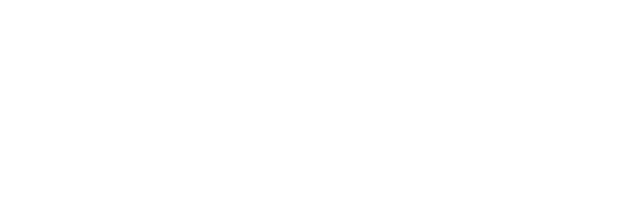 Inspection Team Services